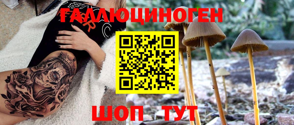 Псилоцибиновые грибы мухоморы  Вход с VPN  Вязьма  Галлюциногенные грибы GOLDEN TEACHER 